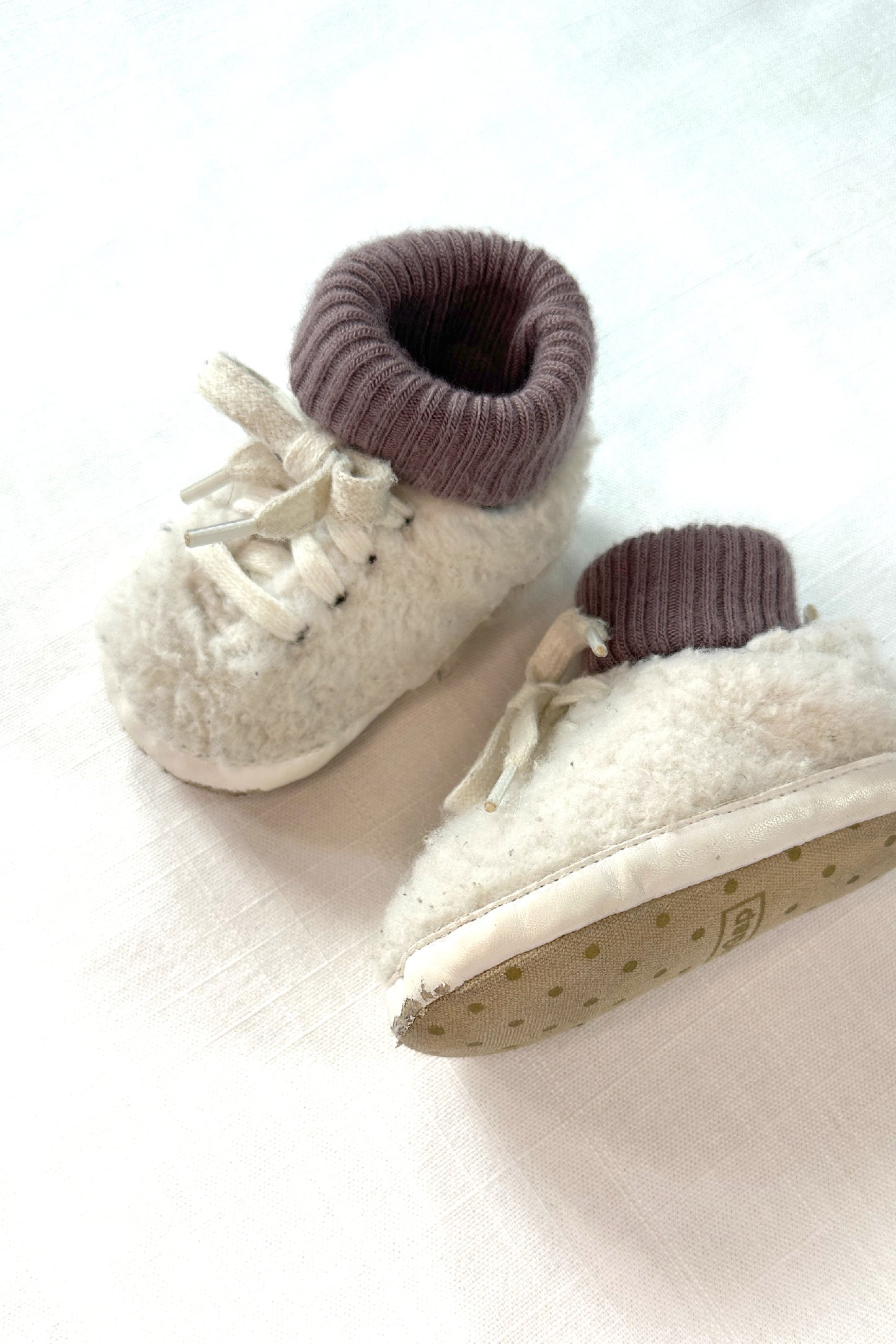 MINI: TEDDY TRAINERS